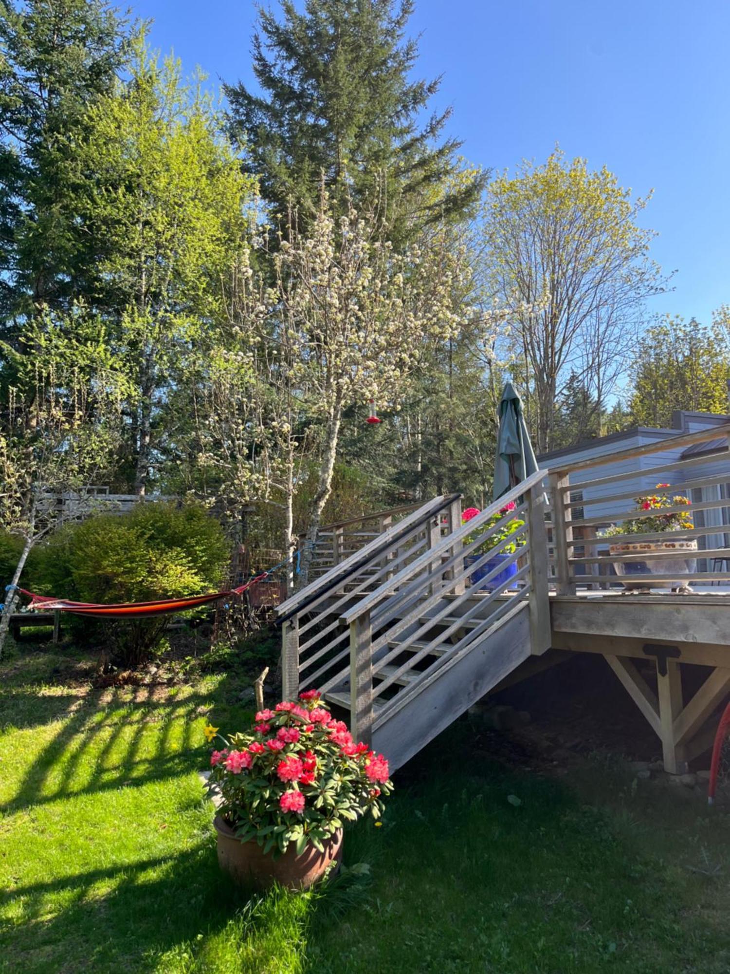 Forest By The Sea Rentals Merville Εξωτερικό φωτογραφία