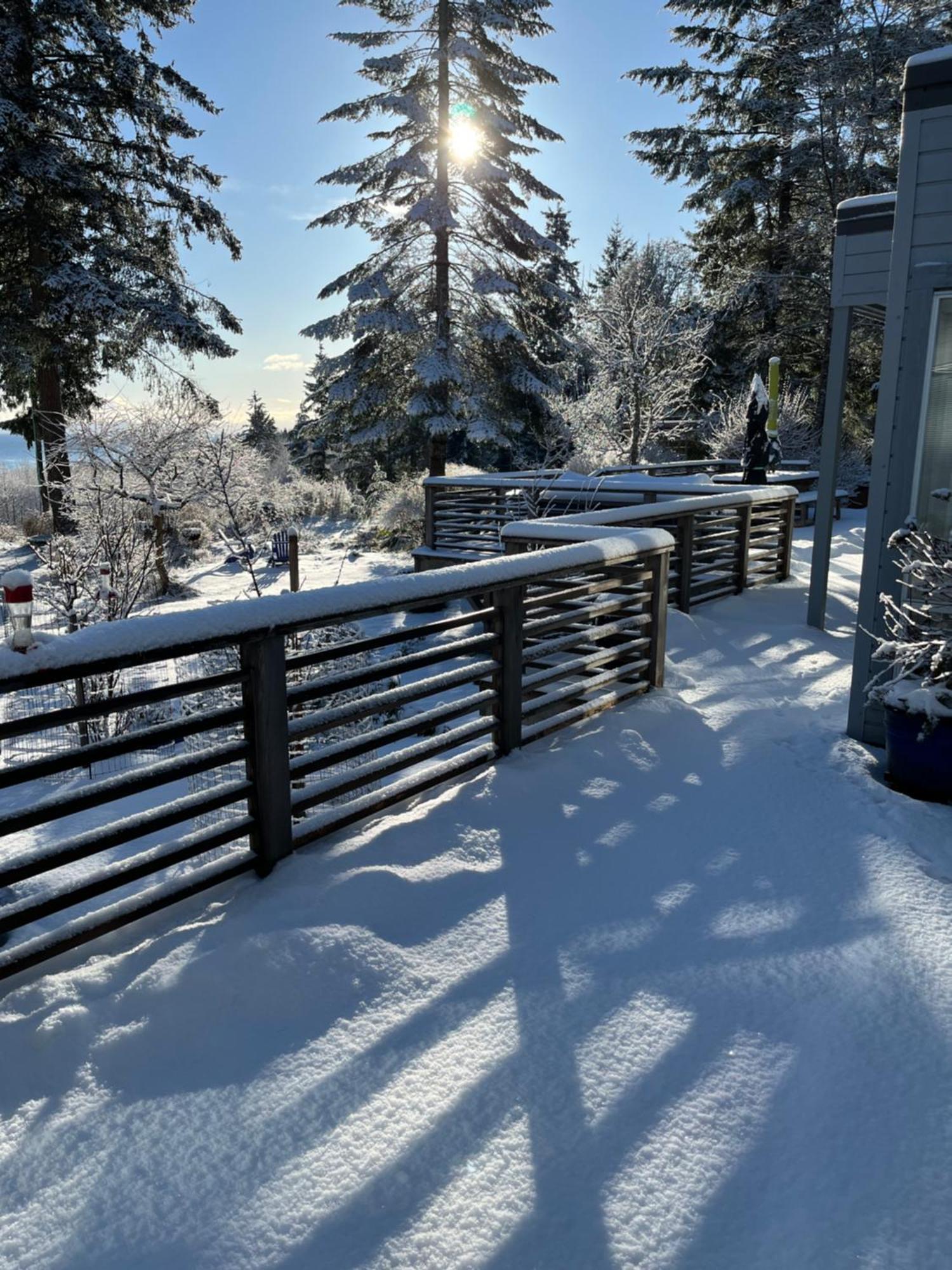 Forest By The Sea Rentals Merville Εξωτερικό φωτογραφία